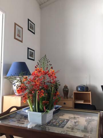Ravissant Duplex A Saint Francois Lägenhet Exteriör bild